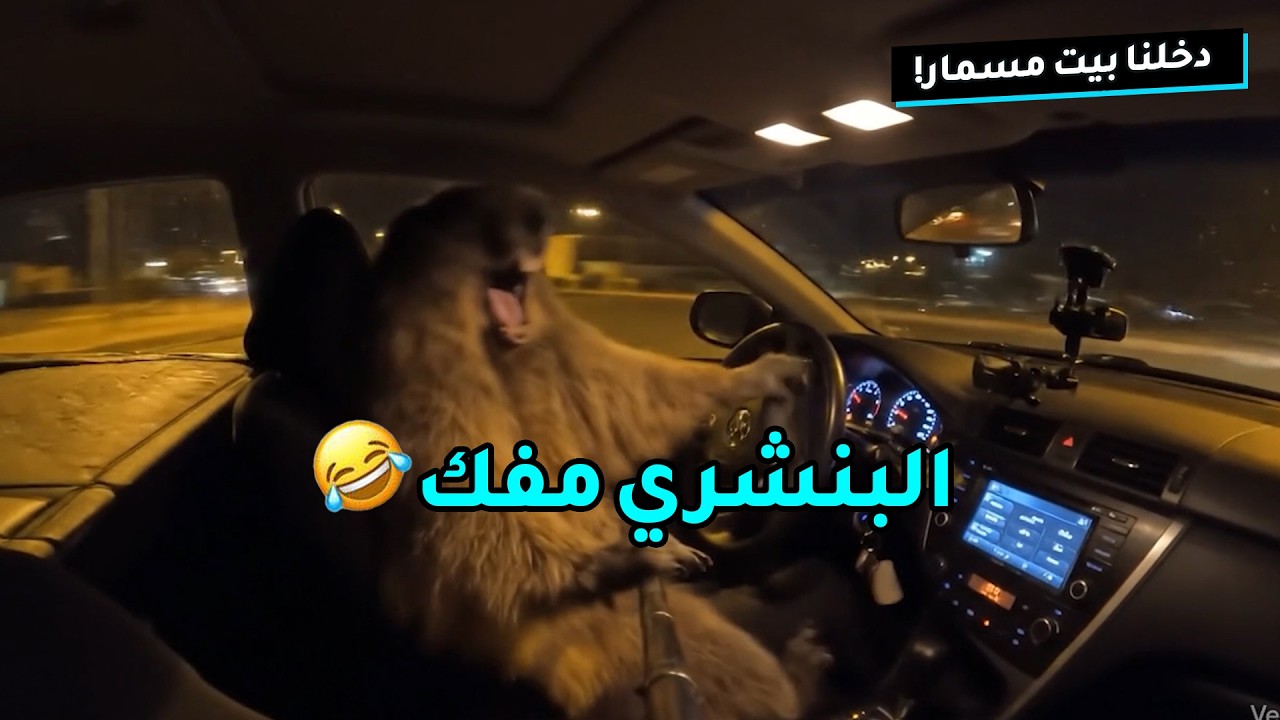 وش صار لما دخلنا بيت الخوي بالليل؟ مفك خوي مسمار!