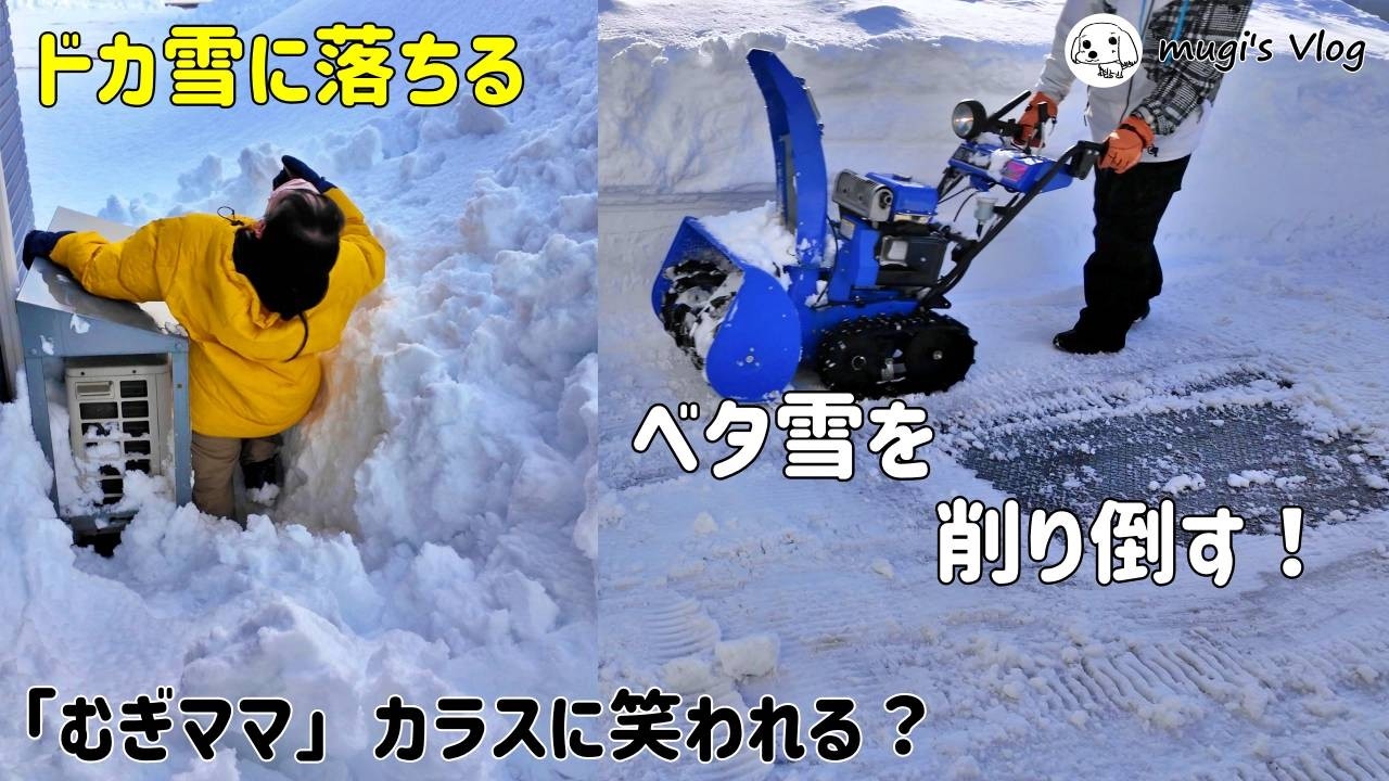 【除雪機を使った圧雪はがし】ひと時のプラス気温・・むぎママが雪にハマりむぎパパが除雪機で削り飛ばす！