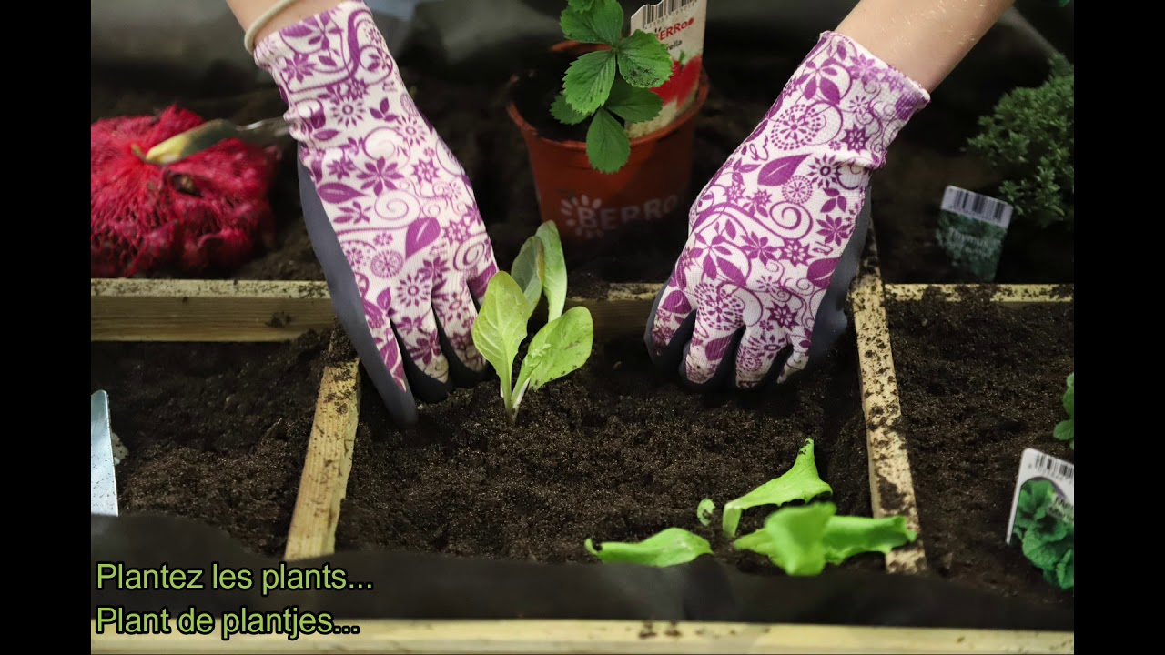 Famiflora DIY: vierkante meter tuin