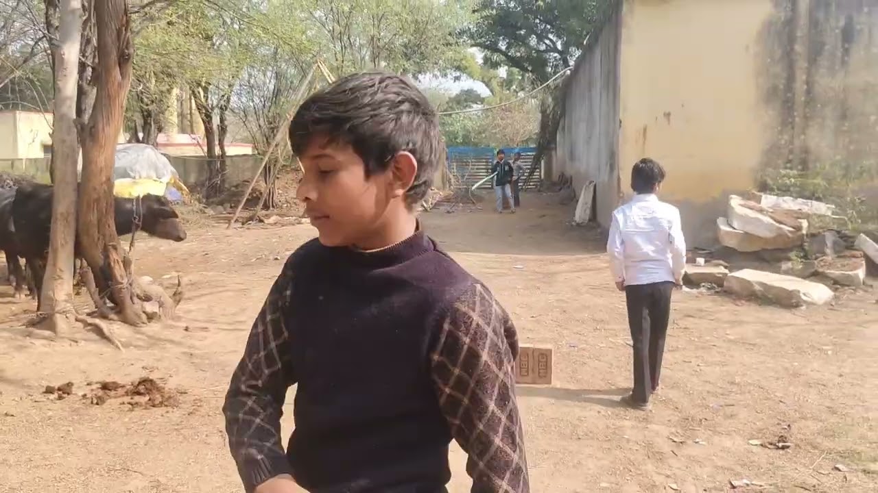 Cricket mach