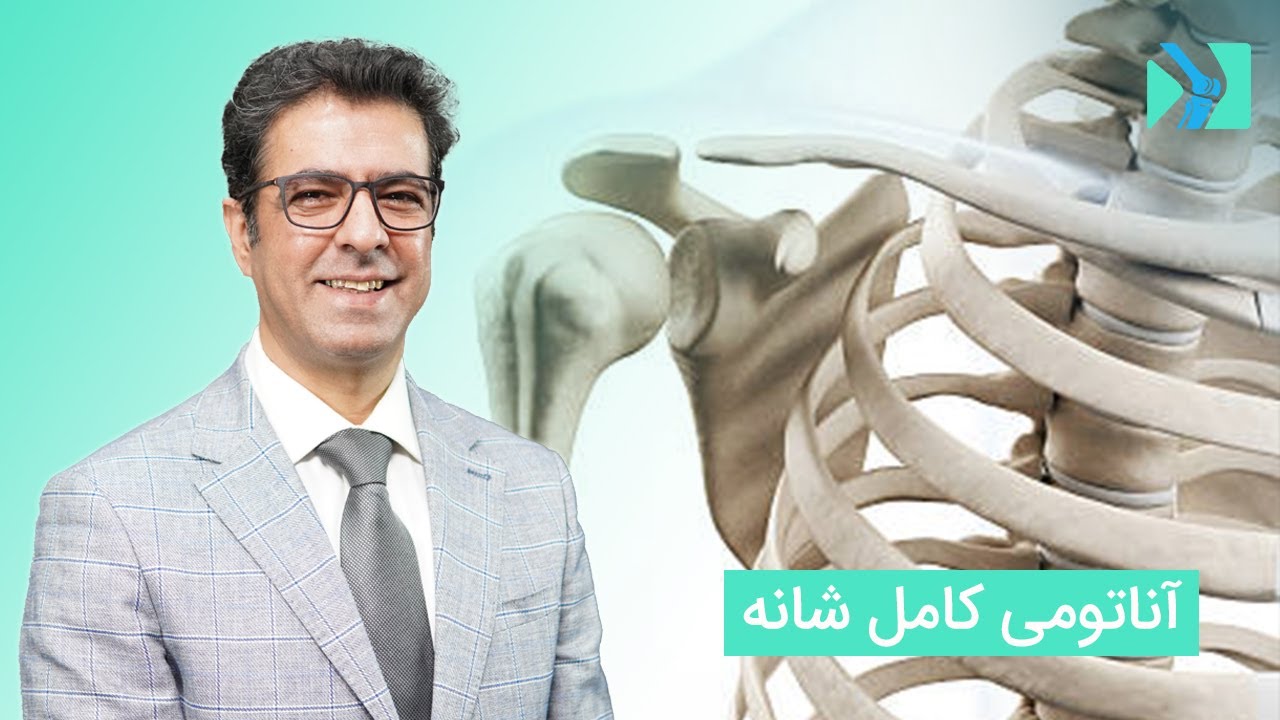 آناتومی کامل شانه