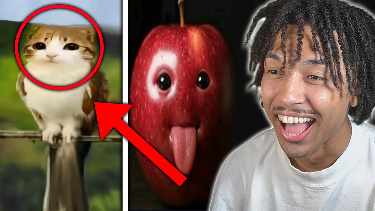 Reacting to The FUNNIEST TikToks...