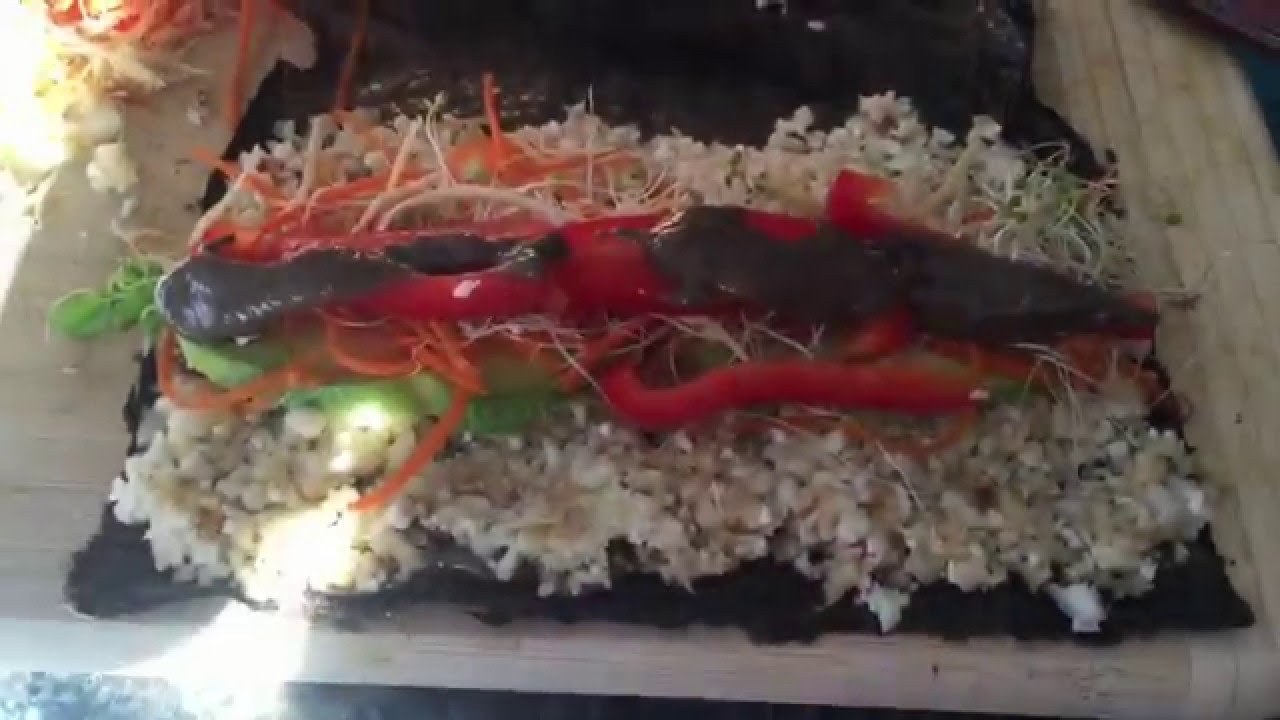 VLOG + RECIPE: Taking you on a shopping trip + Raw Vegan Sushi