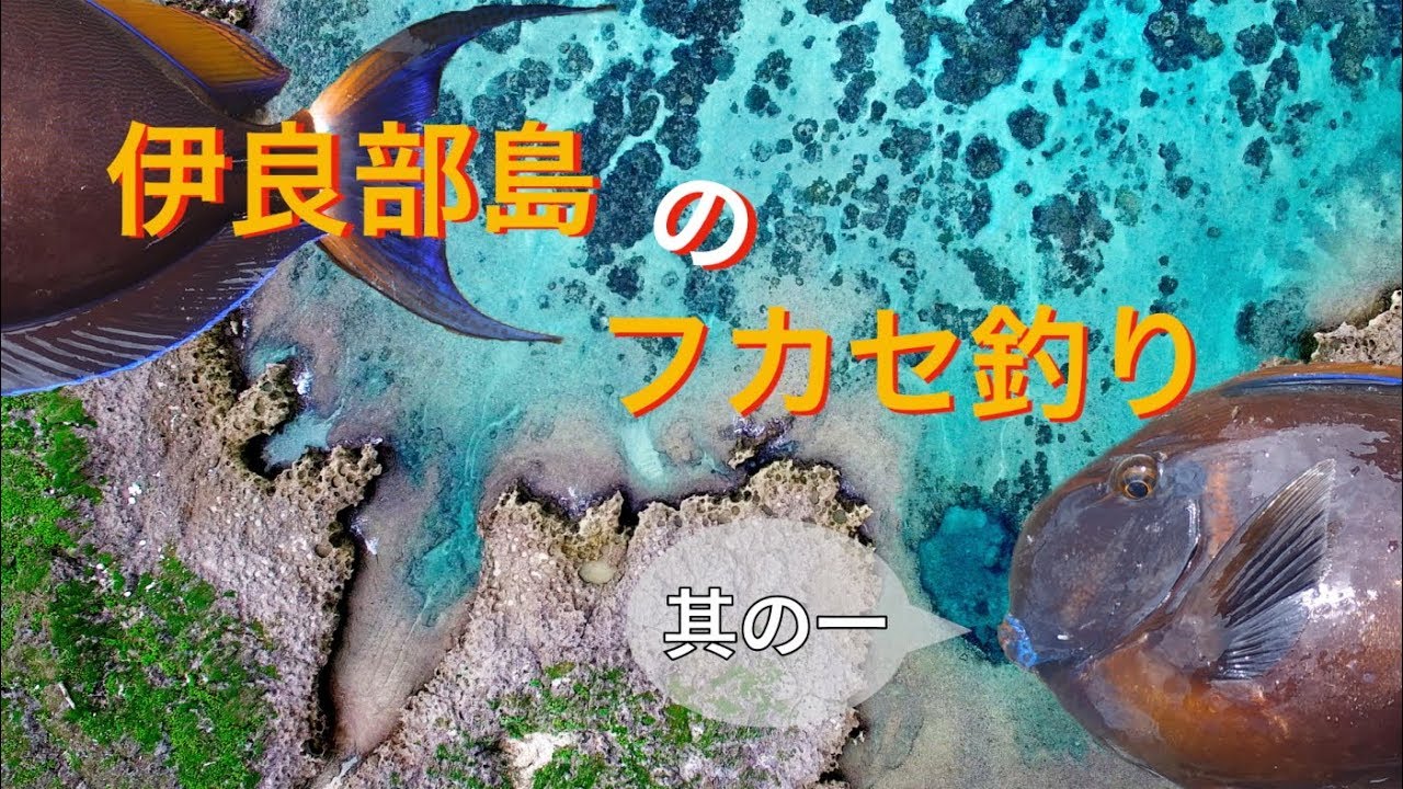 伊良部島のフカセ釣り