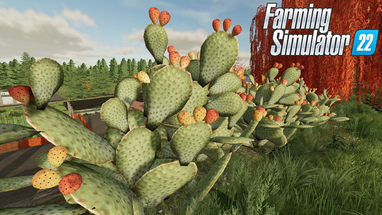 FS22 MAPPA ITALIA #75 - MOD FICHI D'INDIA IN CREAZIONE SI ACCETTANO SUGGERIMENTI - GAMEPLAY ITA