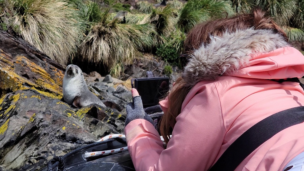 South Georgia Island