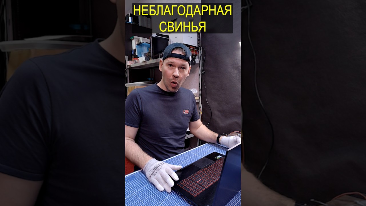 Неблагодарный ноутбукер