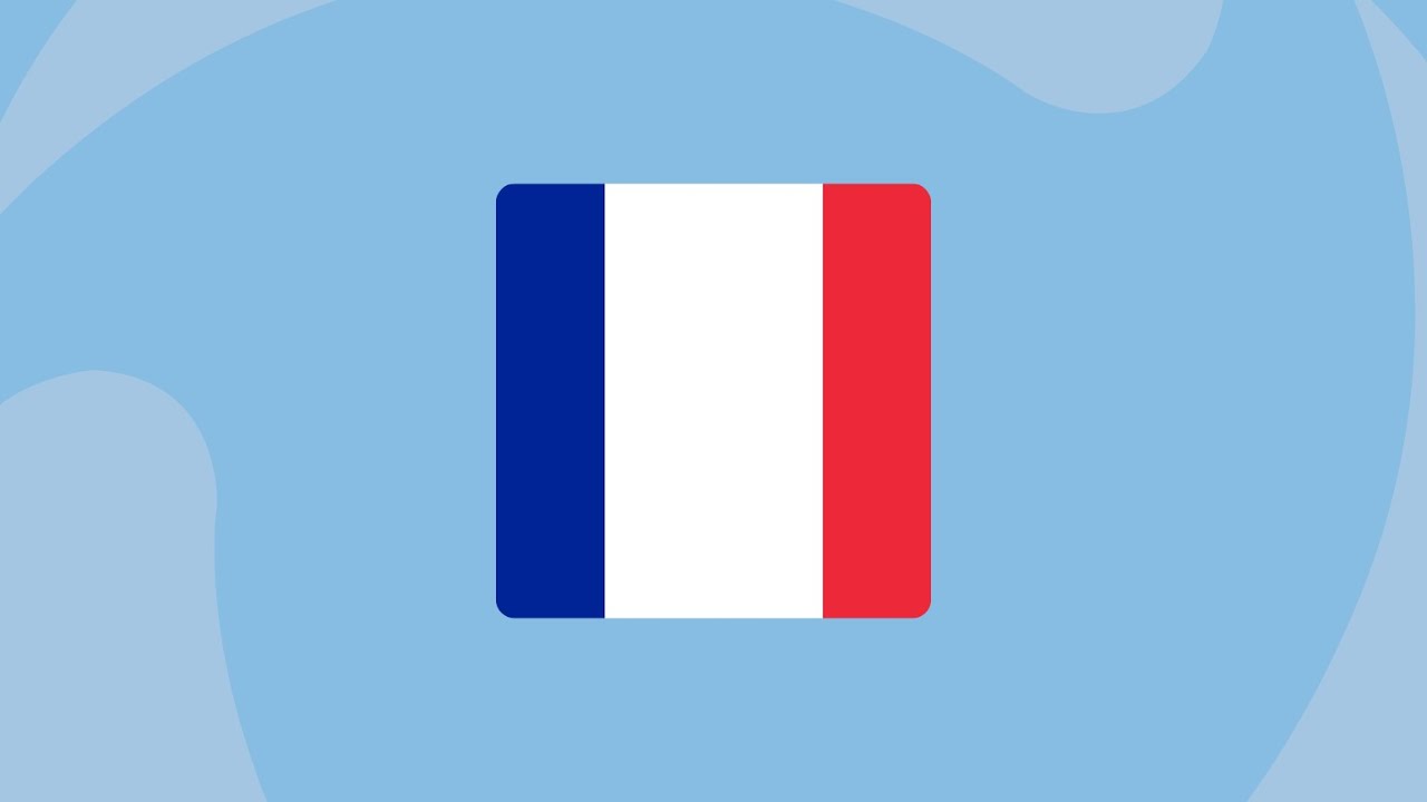 DCI - Talking Interoperability session 6 - social security systems of France