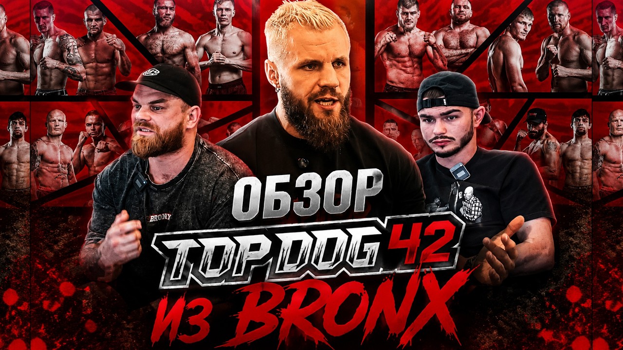 ОБЗОР БОЁВ TOP DOG 42 ПОСЛЕ ТУРНИРА