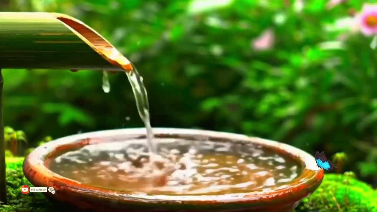 🟢 Water Sound For Sleep, Relaxation Music of Flowing Water | Relieve Stress, Calm The Soul & Mind