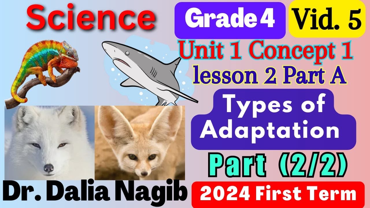 ساينس رابعه ابتدائي المنهج الجديد  Science Grade 4 Types Of Adaptation Concept 1 Lesson 2 (A) Part 2