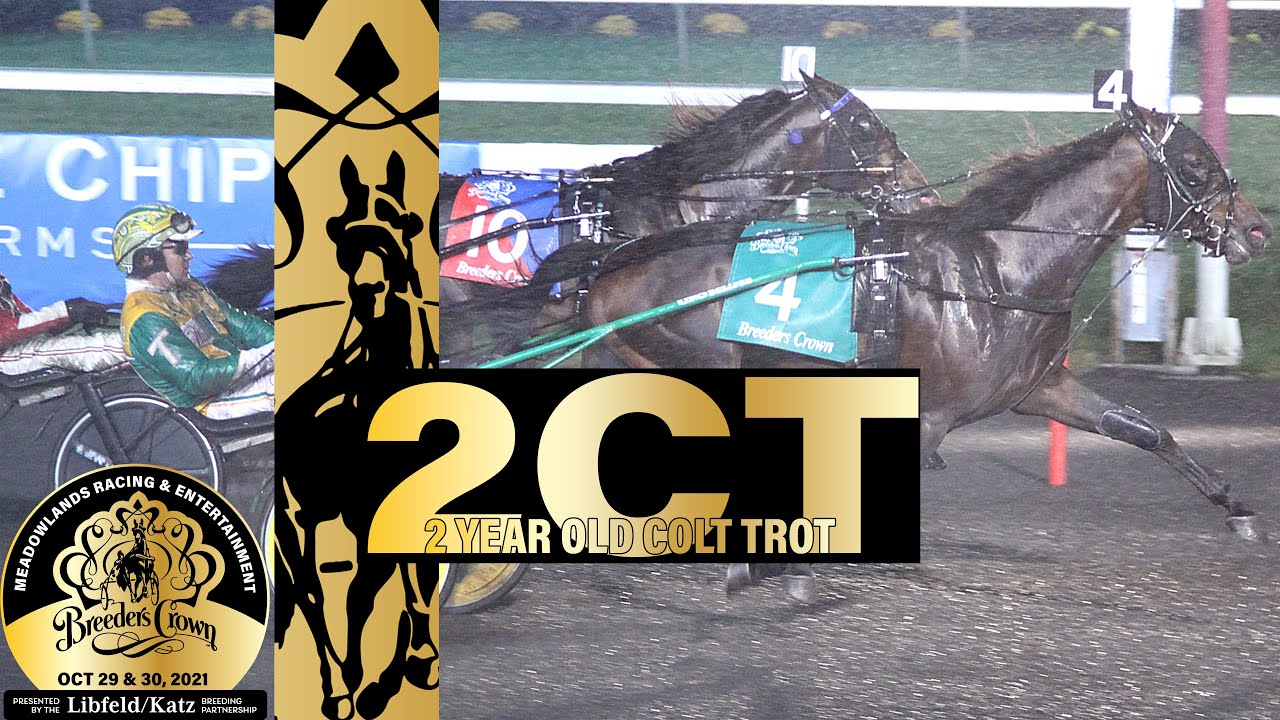 2021 Breeders Crown - Rebuff - 2CT