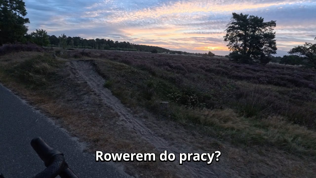 Rowerem do pracy. Czy warto?