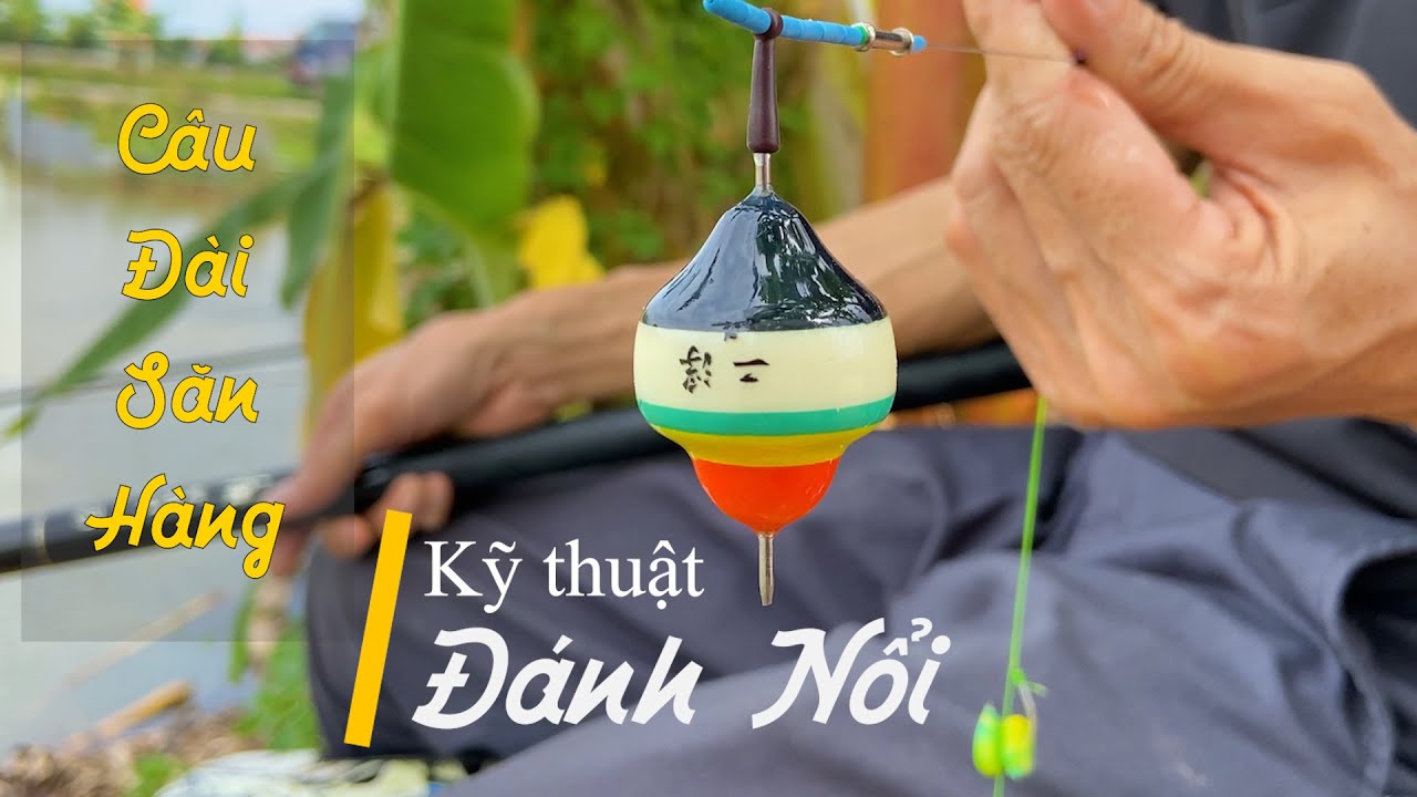50. Câu Đài Săn Hàng - Kỹ Thuật Đánh Nổi !!!!