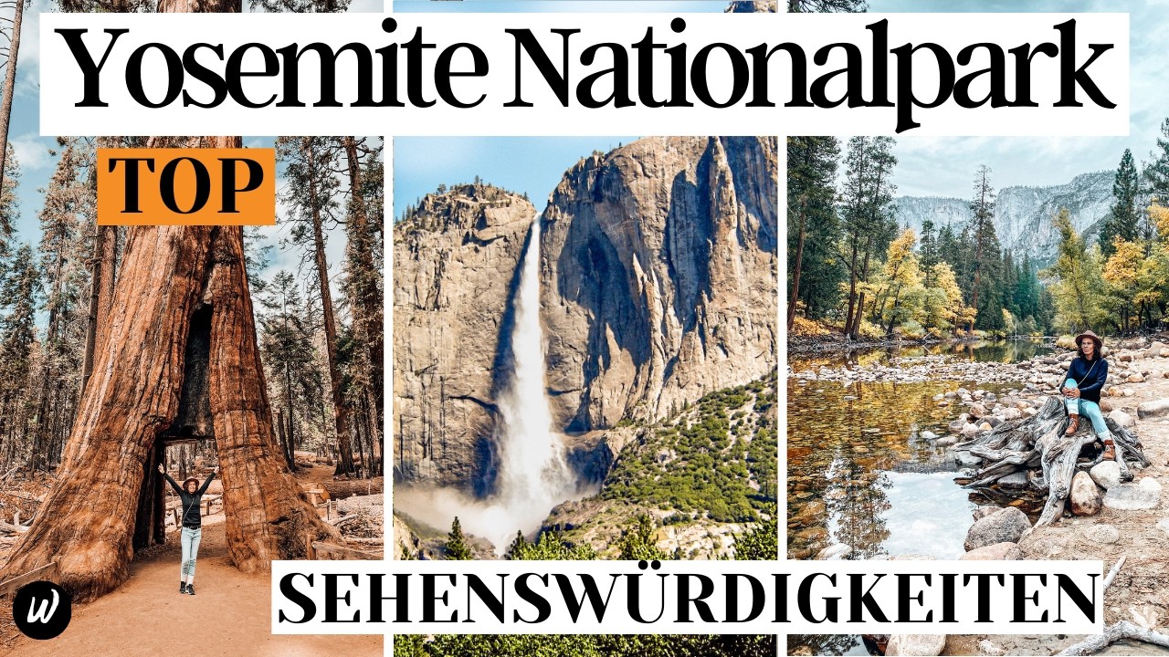Yosemite Nationalpark | TOP Sehenswürdigkeiten & Aktivitäten | Reisetipps USA Roadtrip | Kalifornien