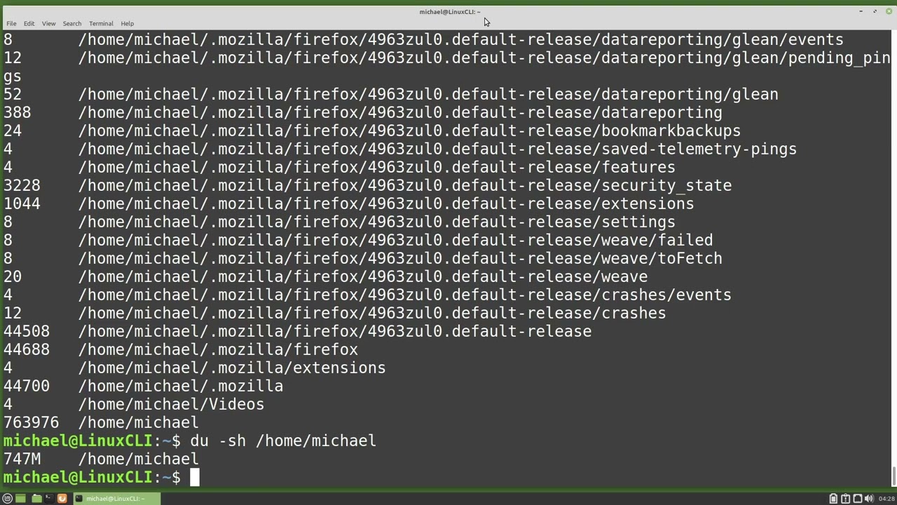 Linux Command Line (79) du