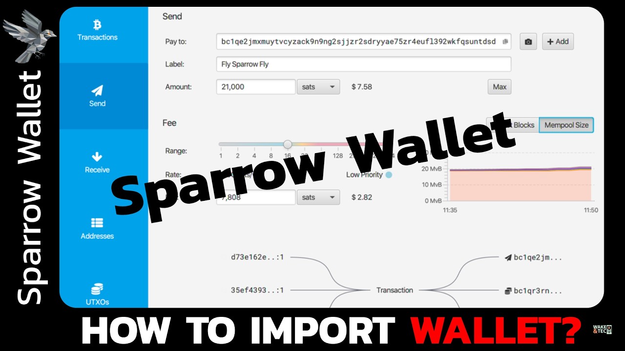 Sparrow Wallet Tutorial: Import Your Bitcoin Wallet Step-by-Step (Easy Guide 2026)