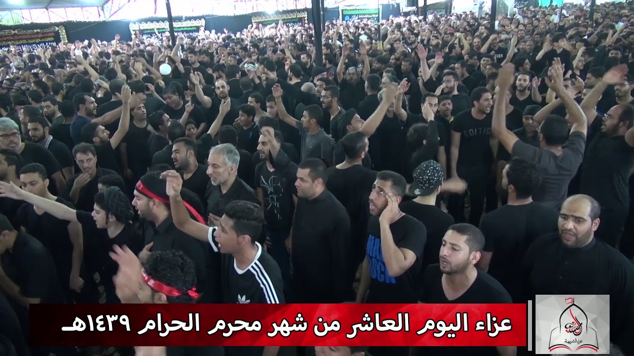 1439-يوم10-عوّد المهر من دون خيّال