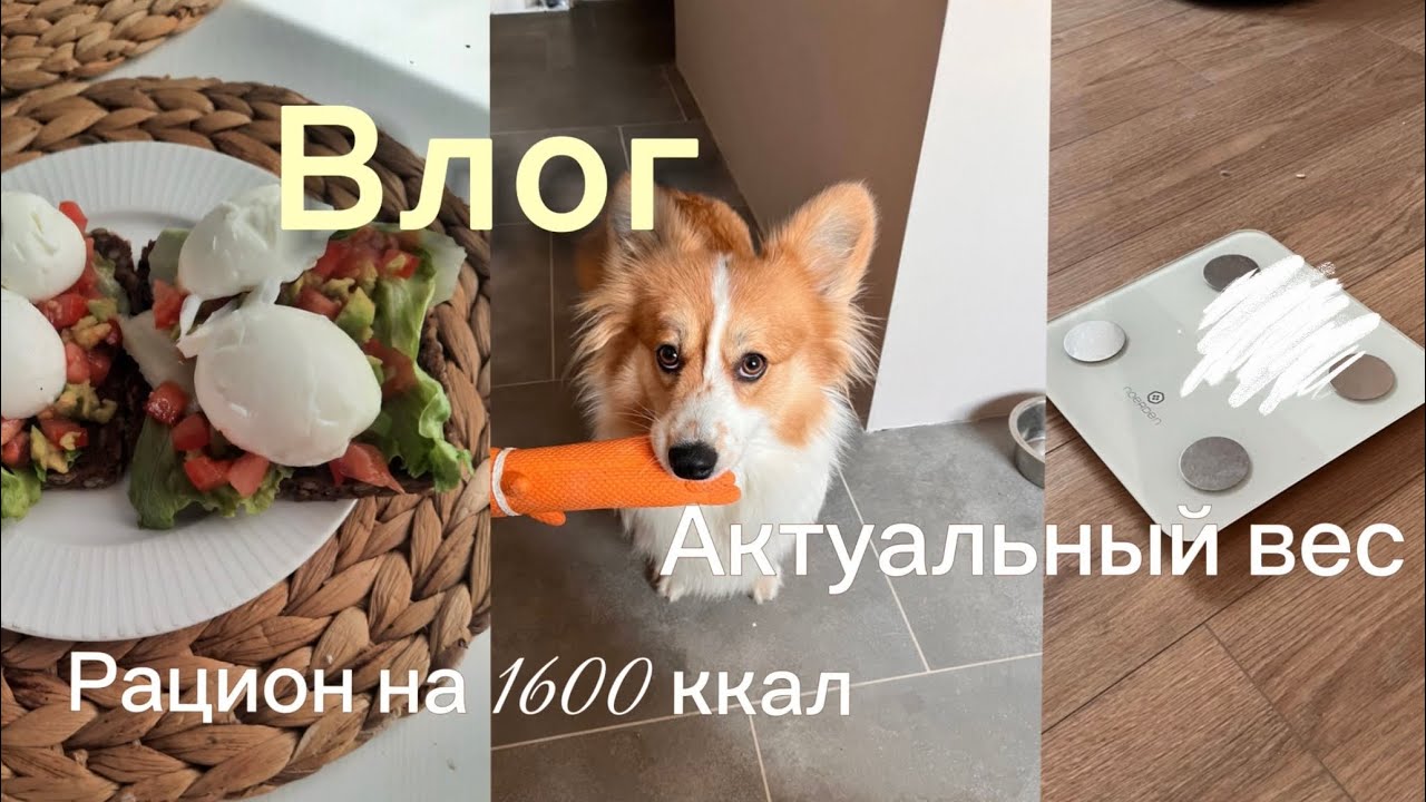 Влог // Актуальный вес // Рацион на 1600 ккал 