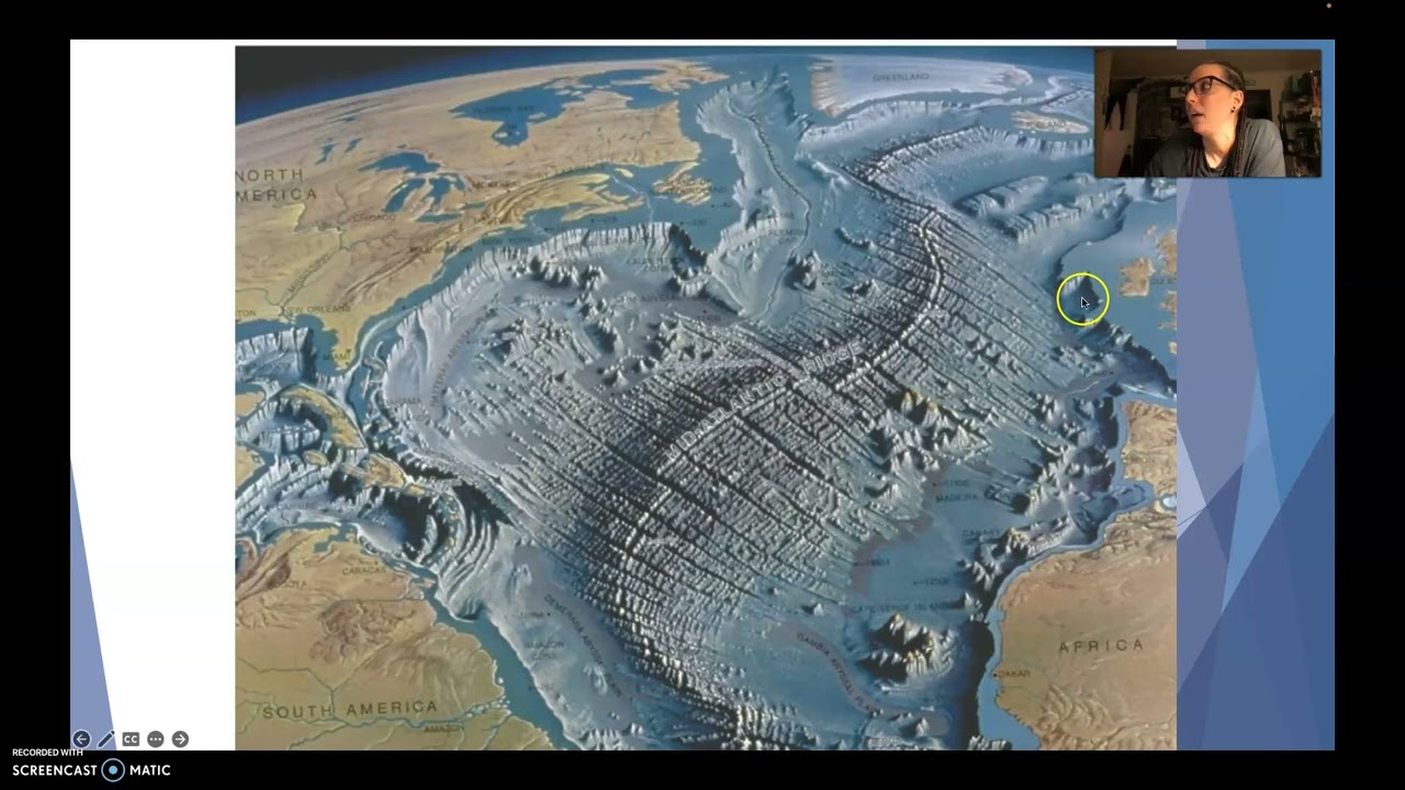 plate boundaries
