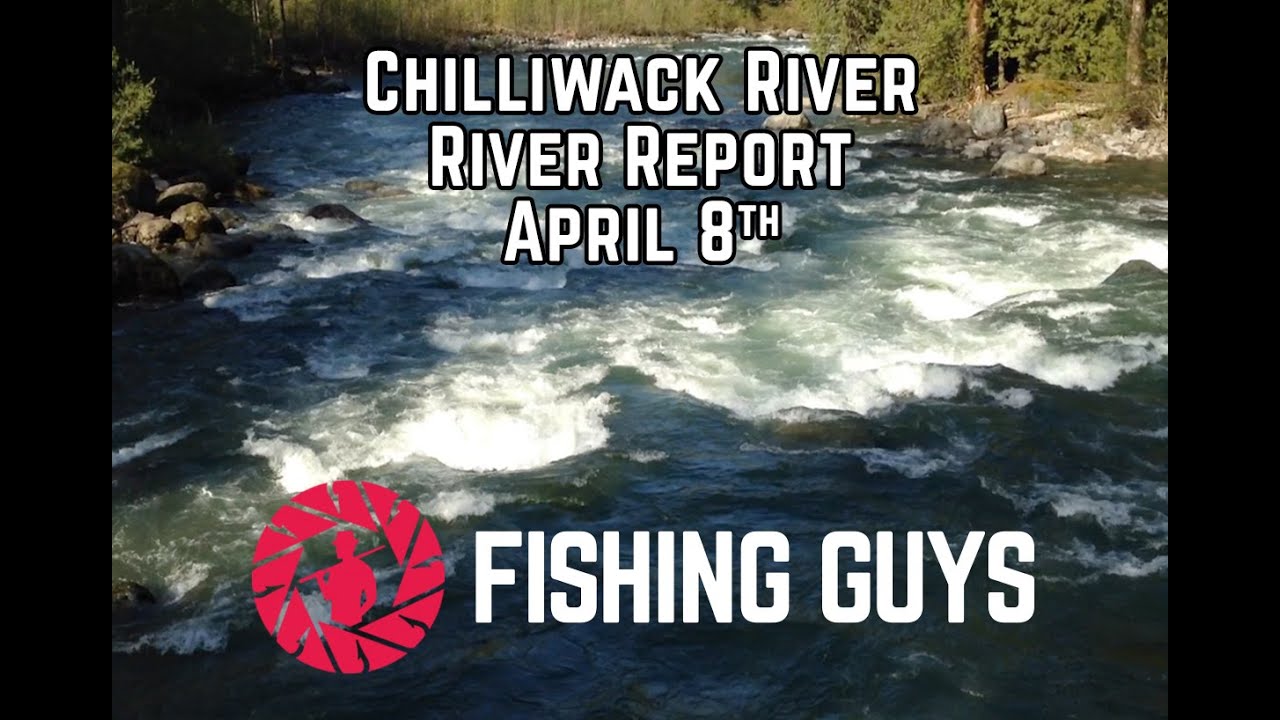 Fishing Guys Chilliwack River Report Apr. 8