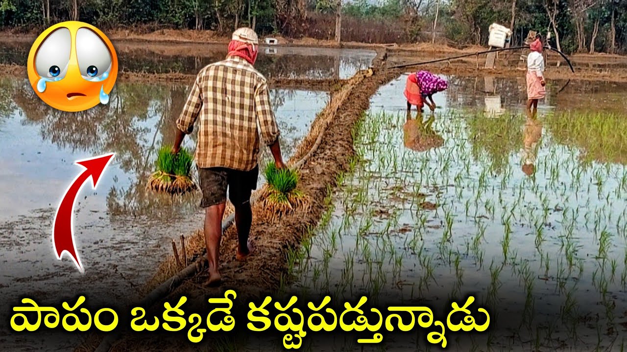 ఒక్కడే కష్టపడ్తున్నాడు పాపం 😔🙏 | Vlog - 018 💙 | #vlog 