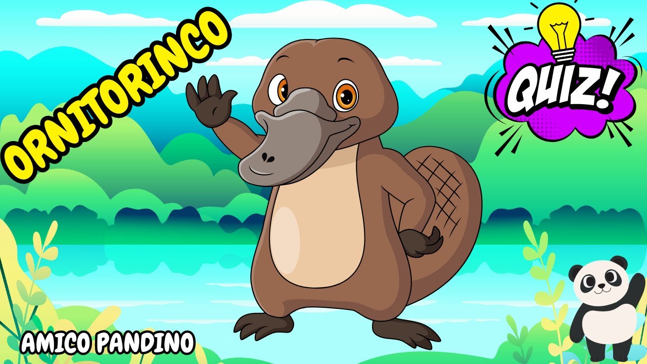 Animali per bambini - L'ORNITORINCO - Impara gli animali con Pandino - quiz animali - MAMMIFERI