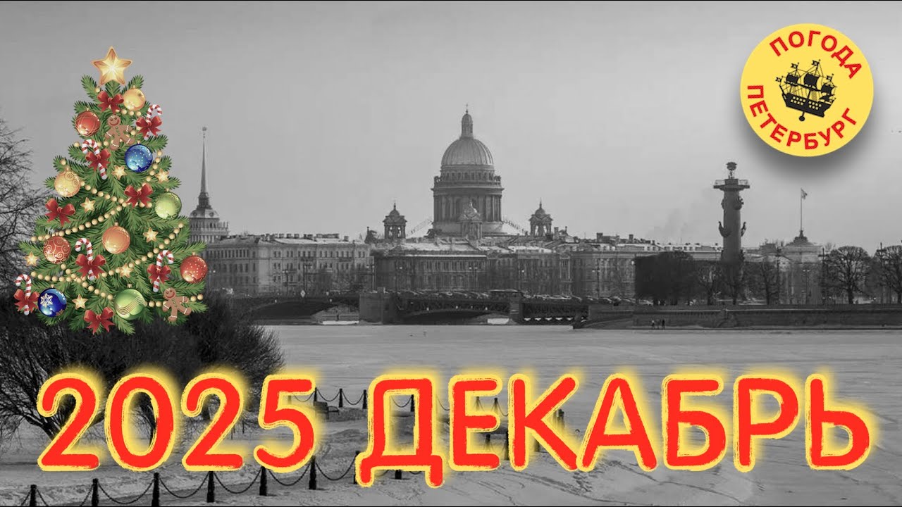 2025.12.08. Погода Петербург. 09:07.  &plusmn;0&deg;. На работу без долгих разговоров. Ночью был легкий снег.