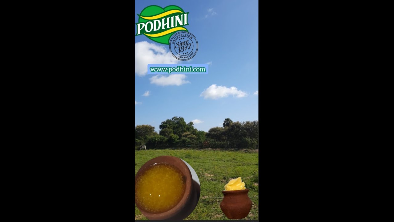 Traditional Cow Butter | butter manufacturing | Podhini Traditional cow Ghee|