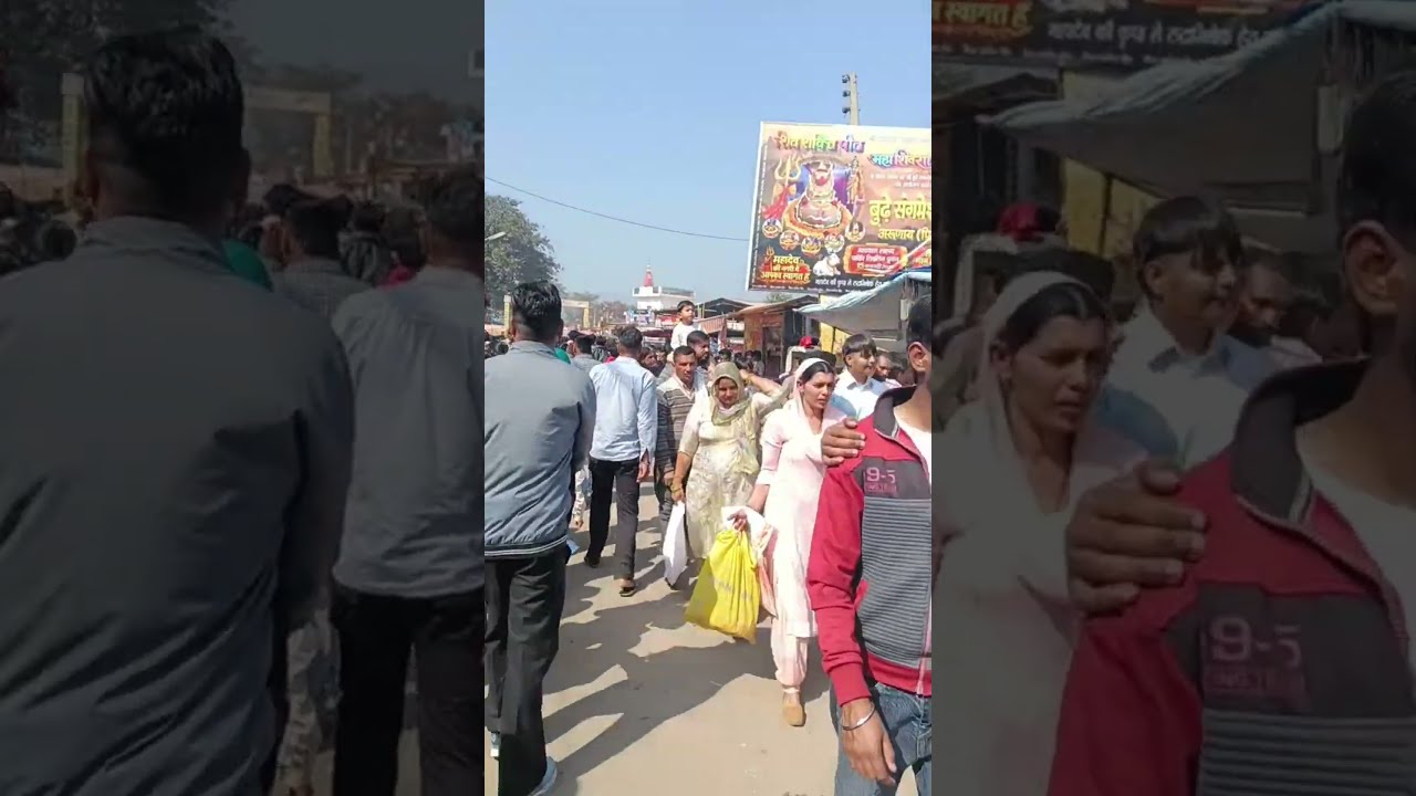 अरूणाय मंदिर पिहोवा शिवरात्रि का पर्व Daily Media 24 News is live!