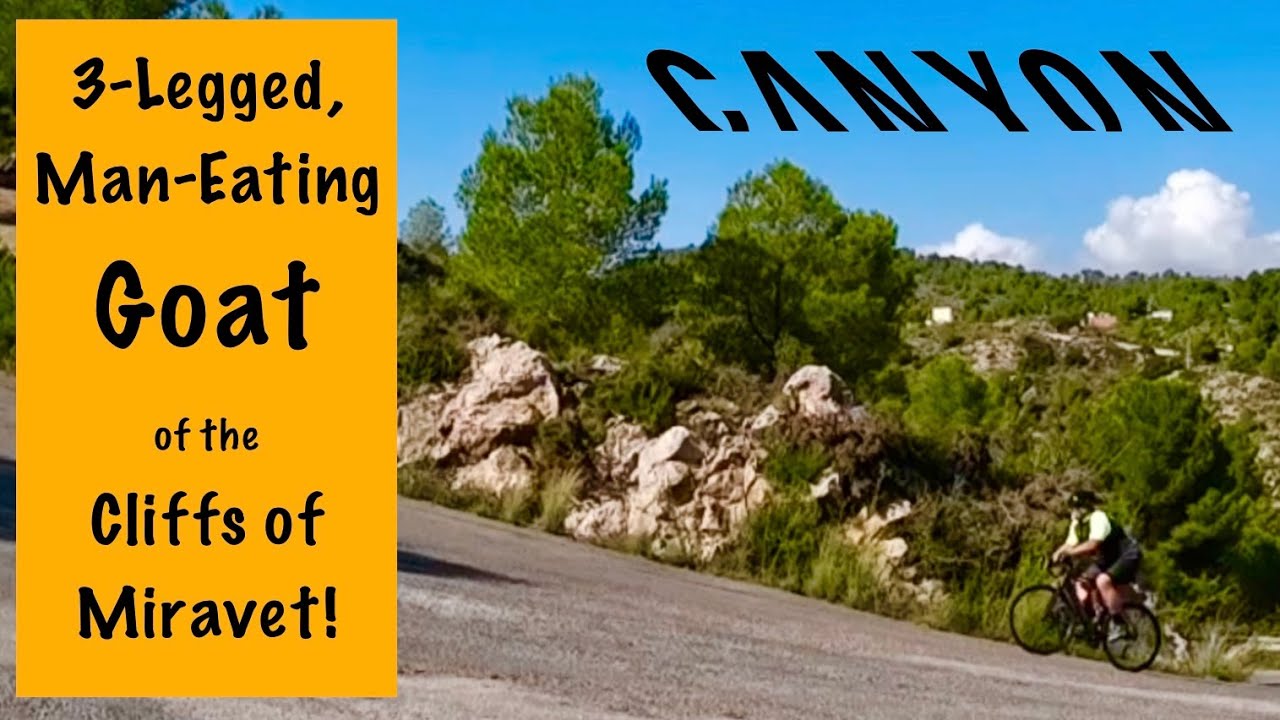 Canyon Endurace ONfly против 20%&hellip; и другие истории&hellip;