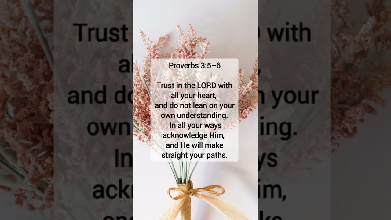BIBLE VERSES PROVERBS 3:5-6