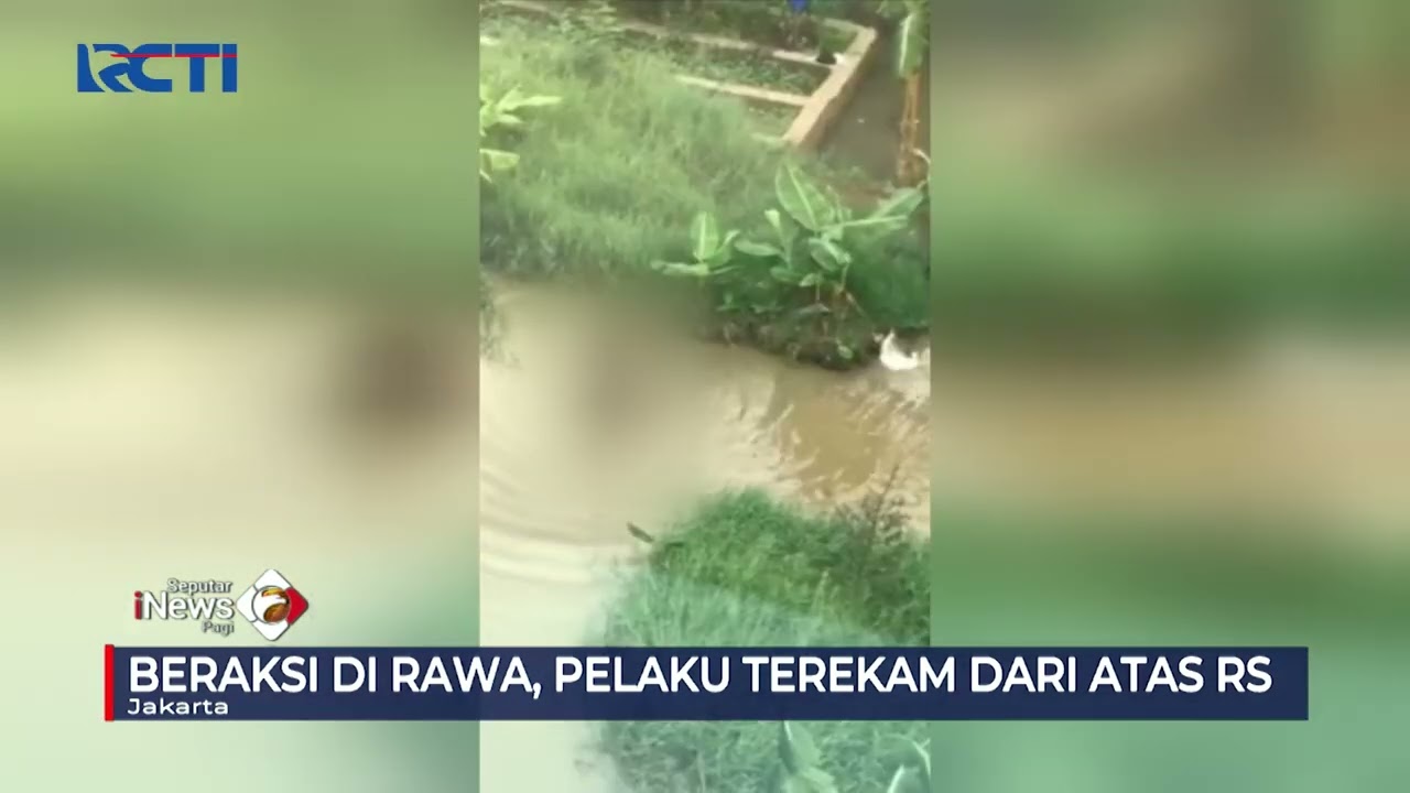 Aksi Predator Anak Melakukan Pelecehan Terekam Kamera Warga #SeputariNewsPagi 12/10