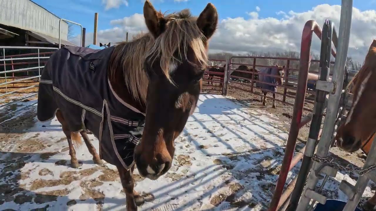 He’s big and he’s fat
