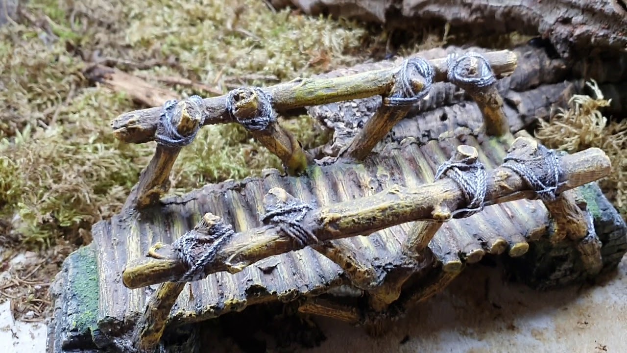 Tapinoma melanocephalum - Ghost Ants