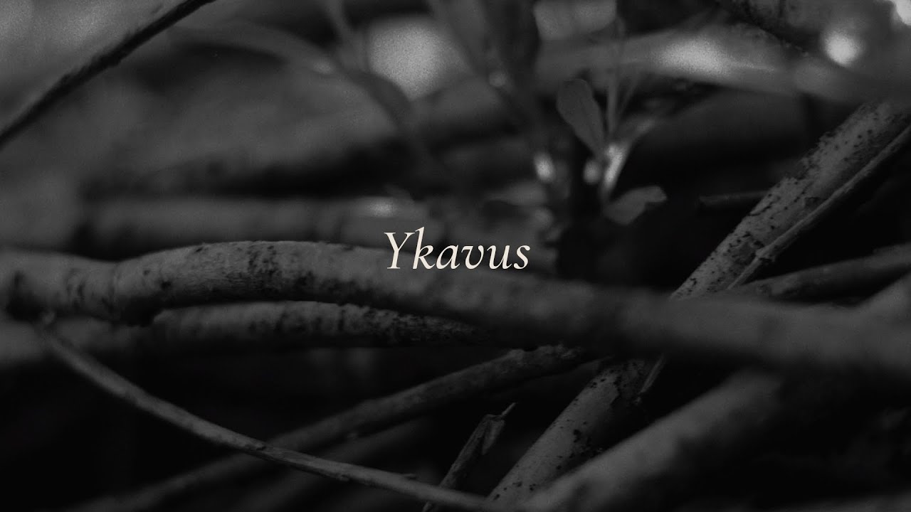 POTHAMUS - Ykavus