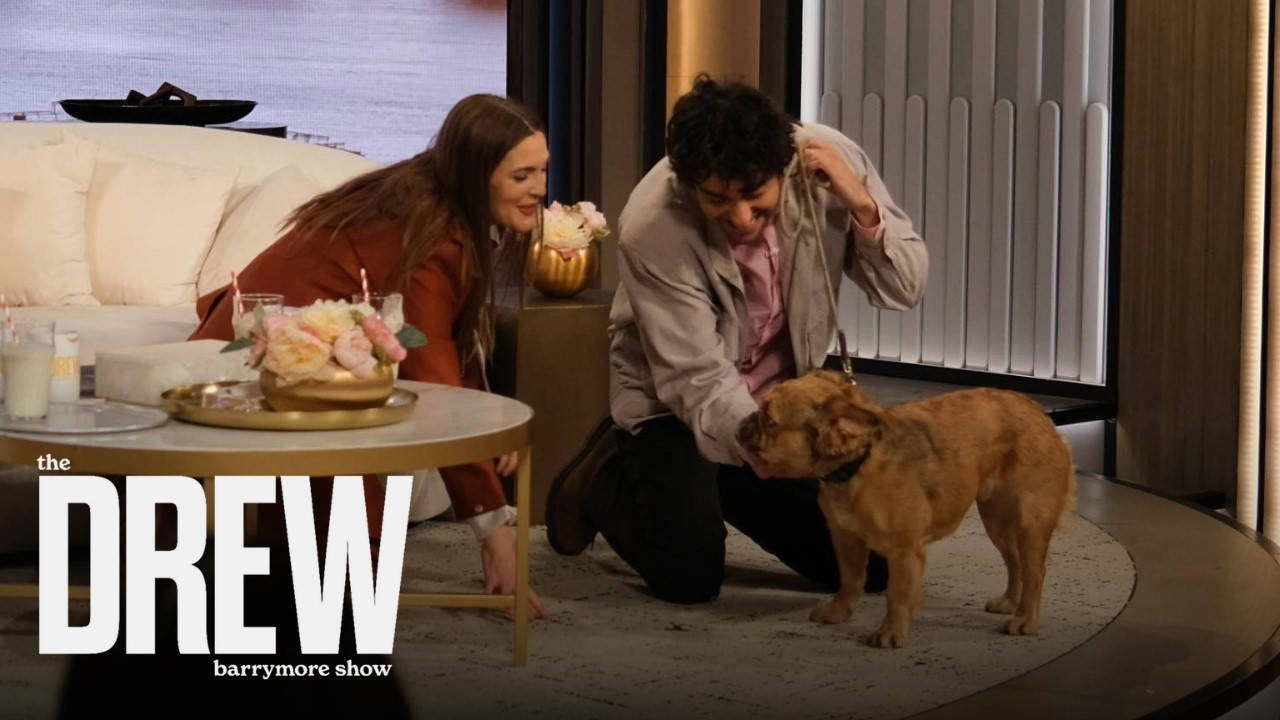 Drew Barrymore Meets Nat and Alex Wolff's Adorable Rescue Dog for His First-Ever TV Debut