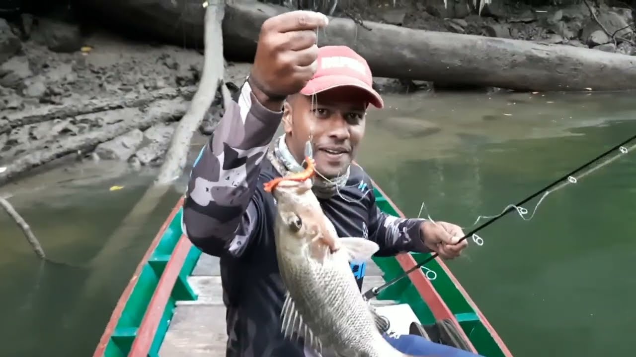 Best Lures for catching Mangrove Jack and Grouper for beginners in Hindi