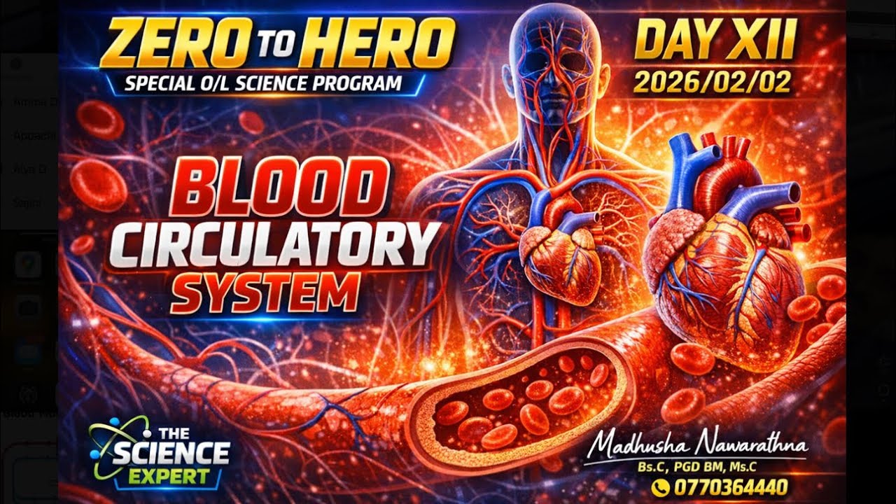 Science English Medium Zero to Hero Day VII 2025 FEB O/L Special theory revision- Blood Circulation 