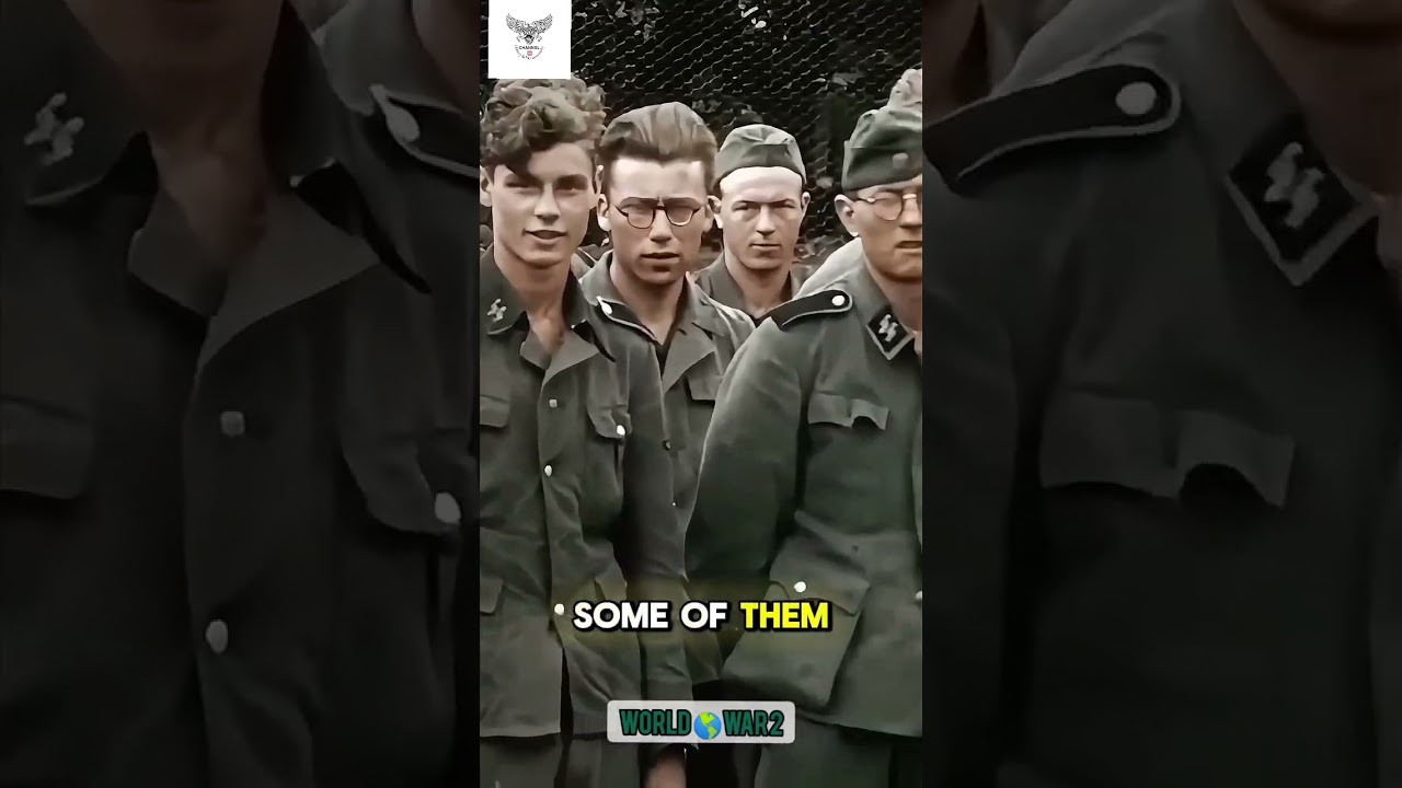 German soldiers were caught by British army at western front, Normandy 1944 #ww2 #war #history