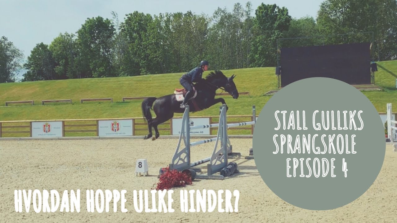 Stall Gulliks sprangskole - Hvordan hoppe ulike hinder