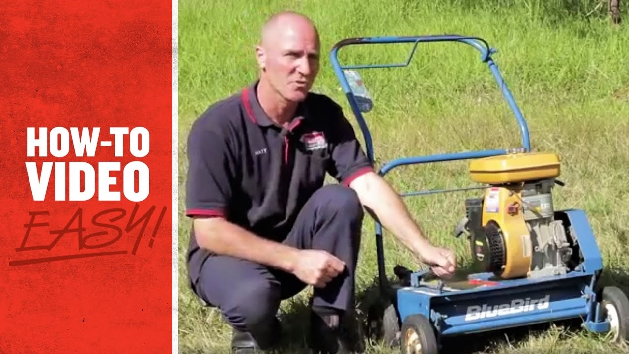 How to Dethatch Your Lawn