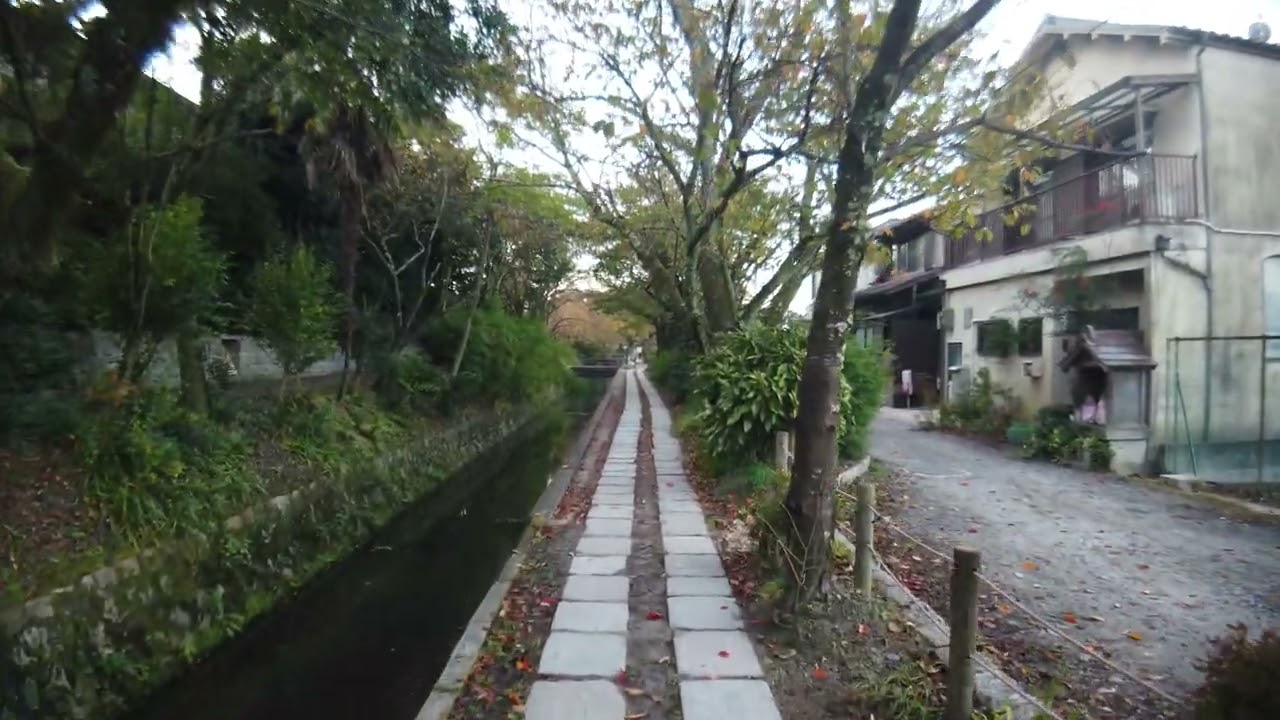京都・哲学の道を散歩。銀閣寺橋から若王子橋まで。Walk through the path of philosophy in Kyoto. 4K