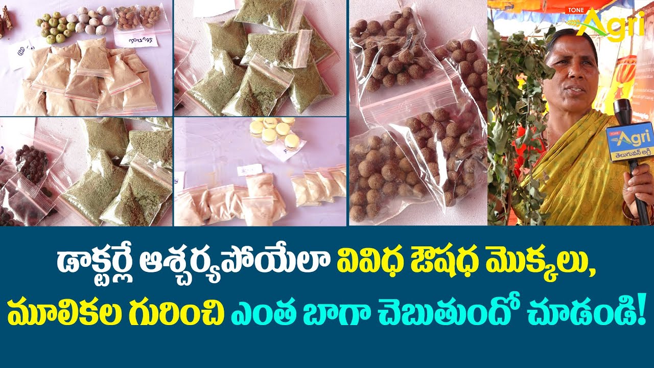 Mulika Vaidyam | వివిధ ఔషధ మొక్కలు, మూలికల..! Patha Pantala Jatara 2022 | Tone Agri