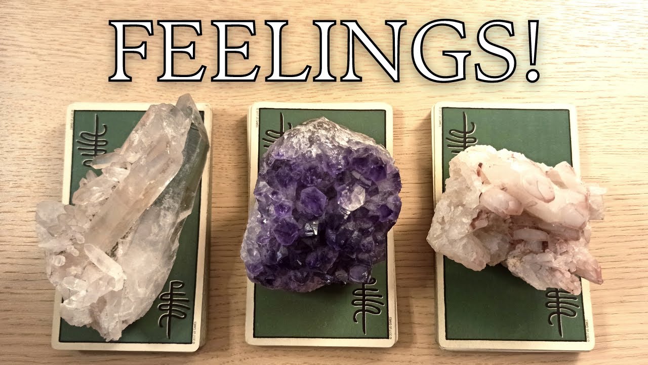 THEIR FEELINGS FOR YOU! THEIR ACTIONS! THE FUTURE!  PICK A CARD TIMELESS TAROT READING