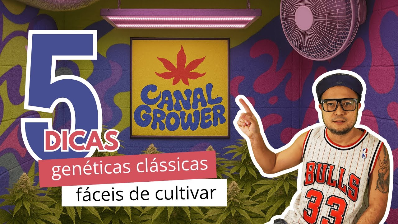 Geneticas de Cannabis F&aacute;ceis de Cultivar
