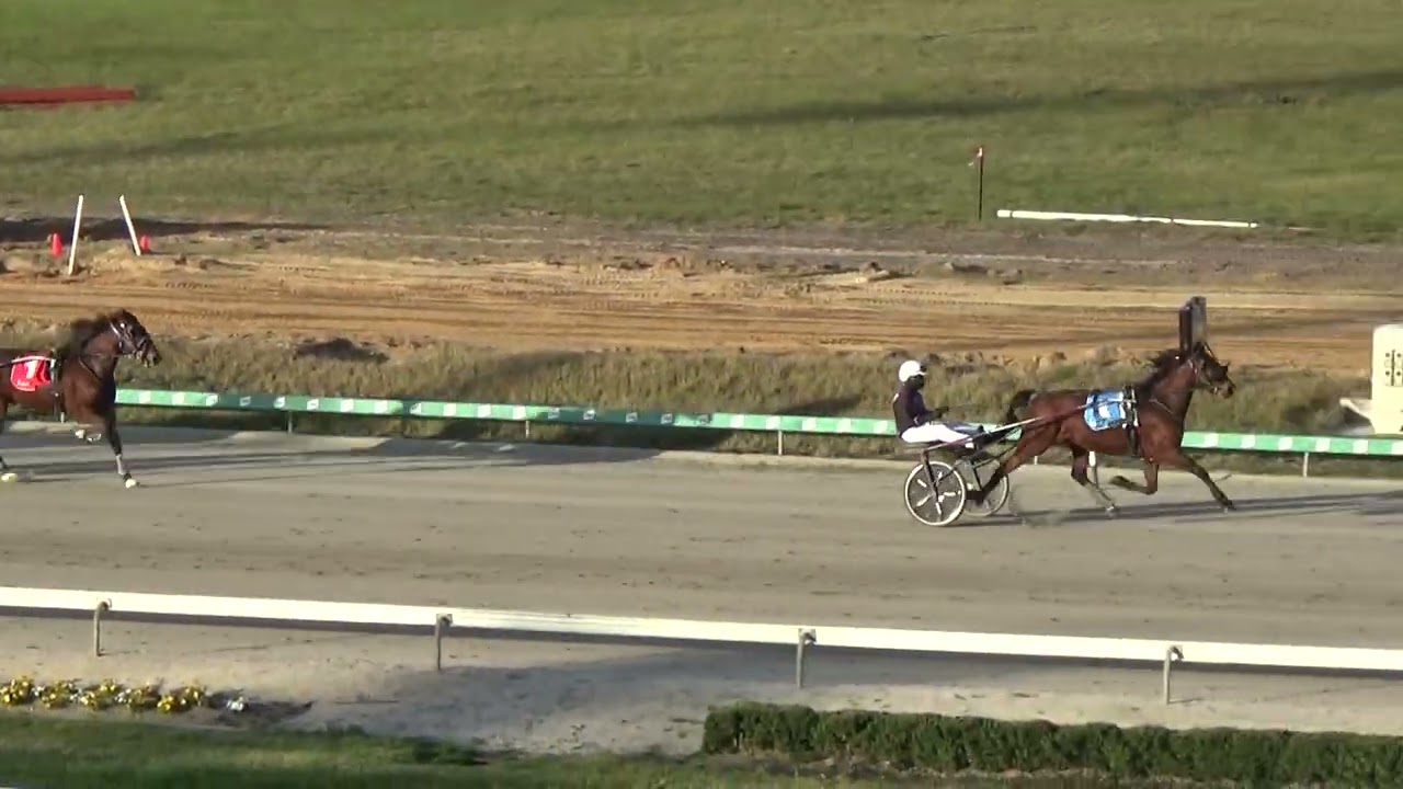 Sunday 24 August 2025:  Trial 1 Combined Trot 1609m