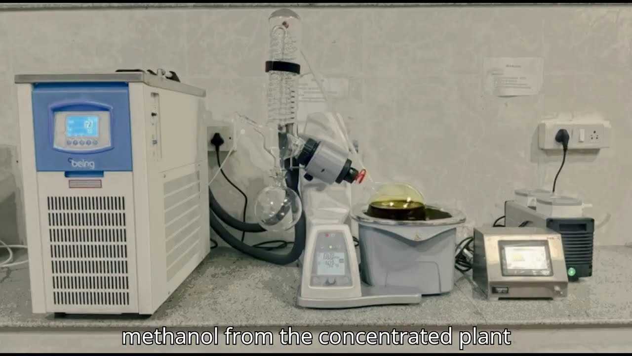 How to Prepare Crude Plant Extracts Using Methanol | Lab Tutorial