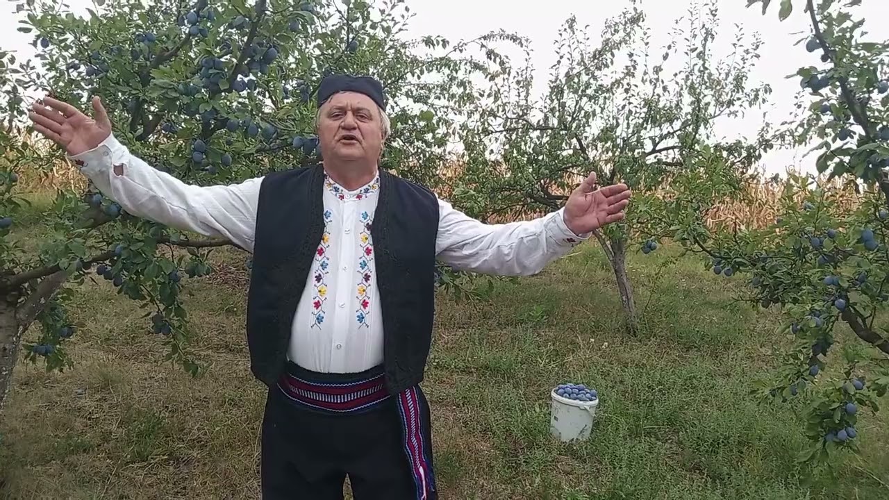 С- Станојевић-ВИРИНАЦ / Н.Николић-ПАТАЛО / СРБИНА ЈЕ ЛАКО ПРЕПОЗНАТИ
