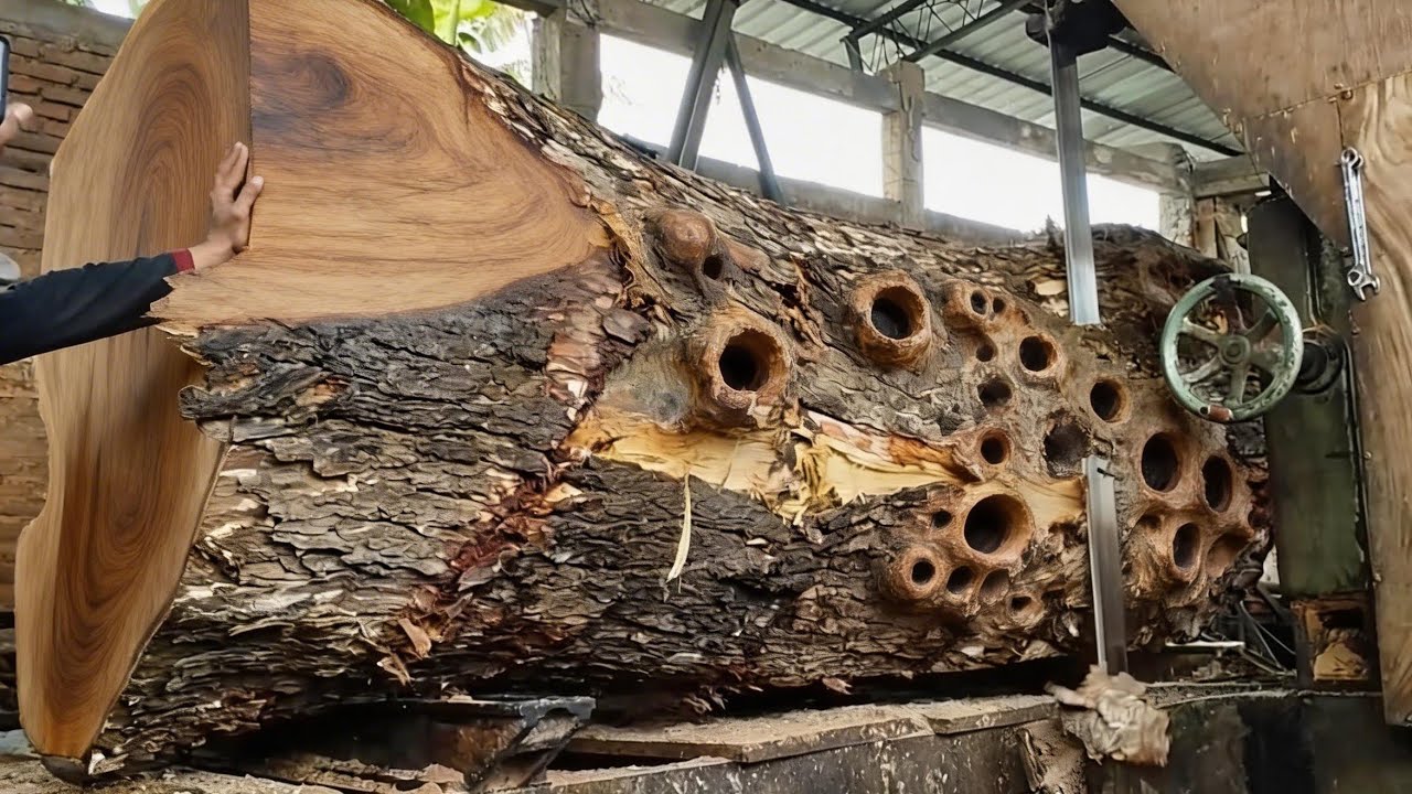 Terrifying moments!! The process of sawing wood using a hand saw